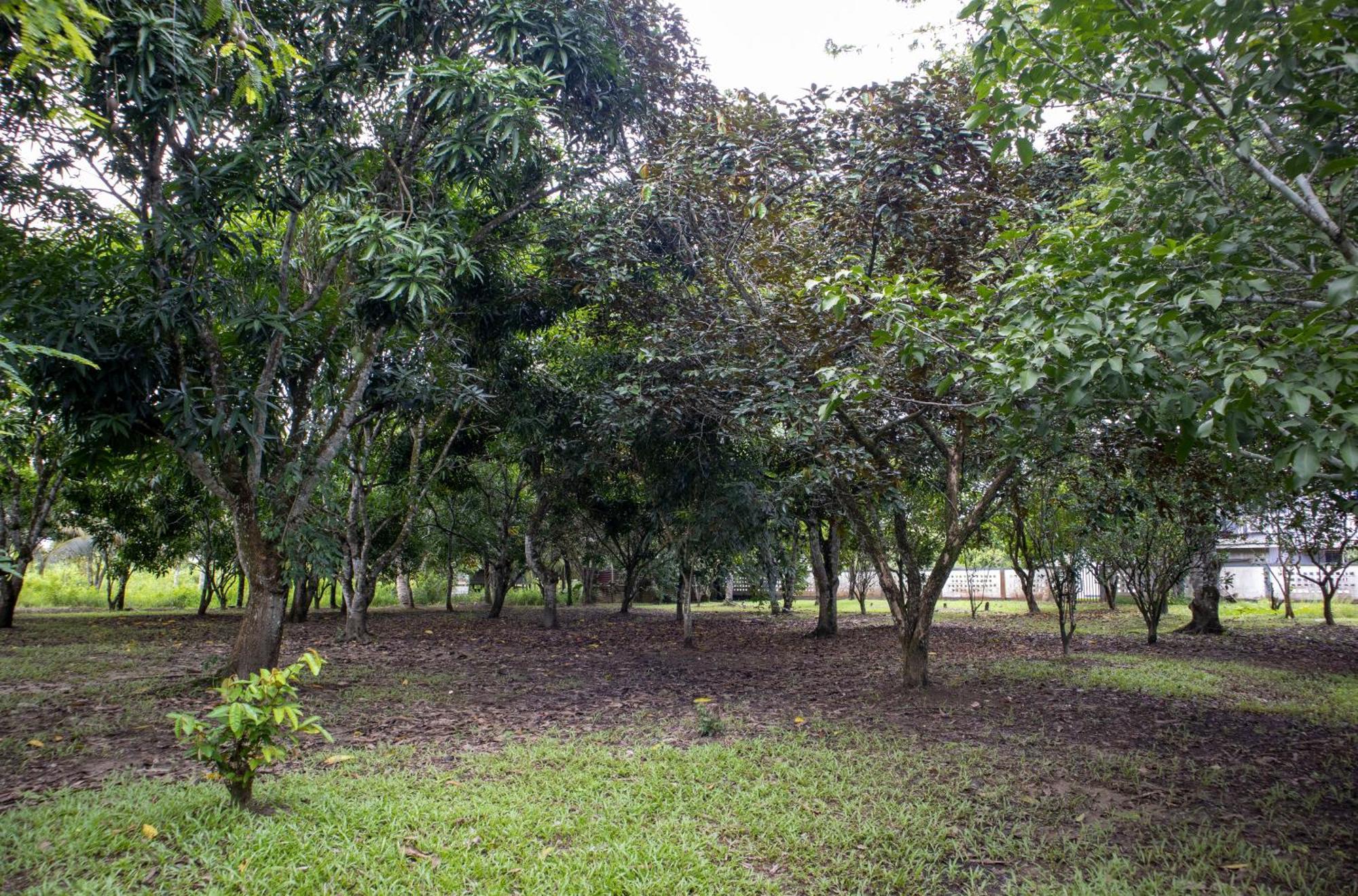 Sabajo Appartement Verhuur Paramaribo Extérieur photo